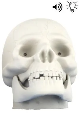 Don Disfraz Totenkopf Weiß Mit Sound 3 Don Disfraz Totenkopf Weiß Mit Sound