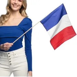 Don Disfraz Fahne Frankreich Mit Stab -Weihnachtlich Verkaufsgeschäft bandera de francia palo 1