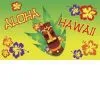 Don Disfraz Fahne Hawaii Aloha