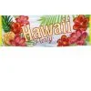 Don Disfraz Banner Hawaii Paradise