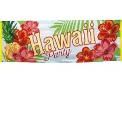 Don Disfraz Banner Hawaii Paradise