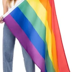 Don Disfraz Mehrfarbige Stolz-Flagge