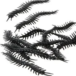 Don Disfraz Beutel Mit 12 Spinnenläufer