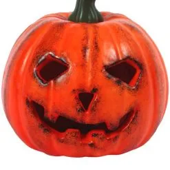 Don Disfraz Kleiner Kürbis Orange