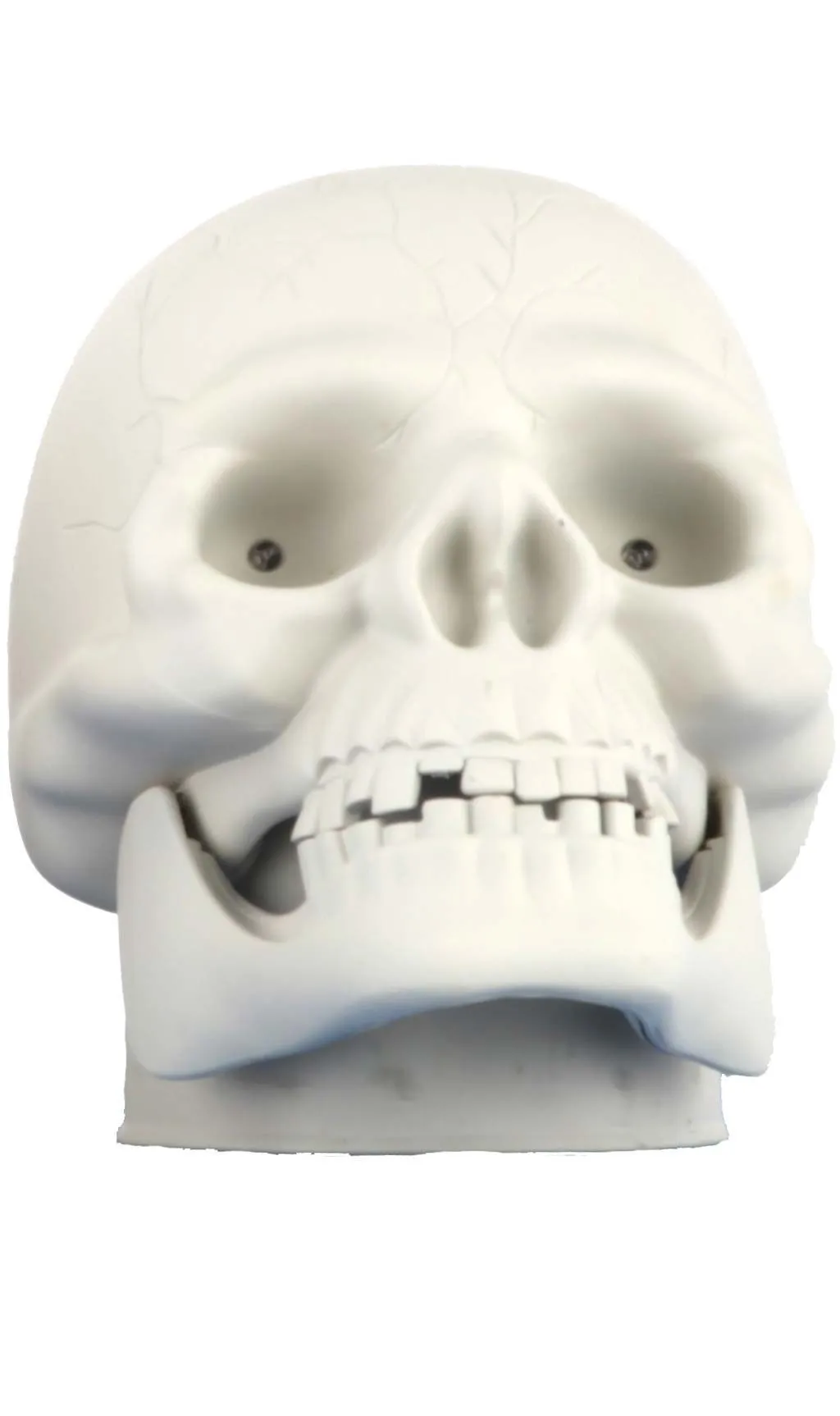 Don Disfraz Totenkopf Weiß Mit Sound 4 Don Disfraz Totenkopf Weiß Mit Sound - Image 2