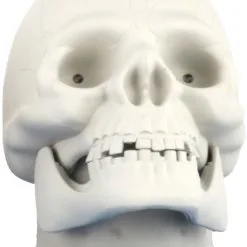 Don Disfraz Totenkopf Weiß Mit Sound 7 Don Disfraz Totenkopf Weiß Mit Sound -Weihnachtlich Verkaufsgeschäft calavera blanca voz.jpg 1