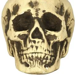 Don Disfraz Schaumschädel