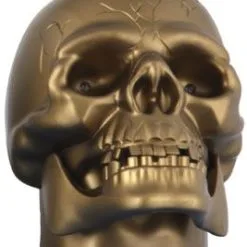 Don Disfraz Totenkopf Golden Mit Stimme