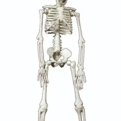 Don Disfraz Alien-Skelett-Hängedeko