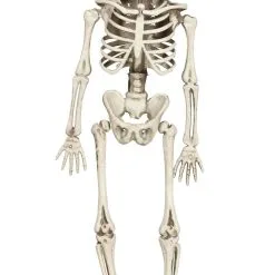 Don Disfraz Klassiker Skelett Hängedeko