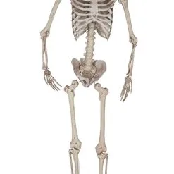 Don Disfraz Schreckliche Skelett Hängedeko