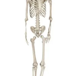 Don Disfraz Knochiger Skelett Hängedeko