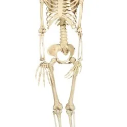 Don Disfraz Mensch Skelett Hängedeko