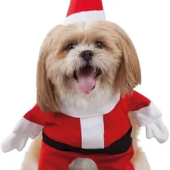 Don Disfraz Weihnachtsmann Maskottchen Kostüm