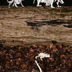 Don Disfraz Wachhund-Skelett 5 Don Disfraz Wachhund-Skelett -Weihnachtlich Verkaufsgeschäft esqueleto de perro guardian