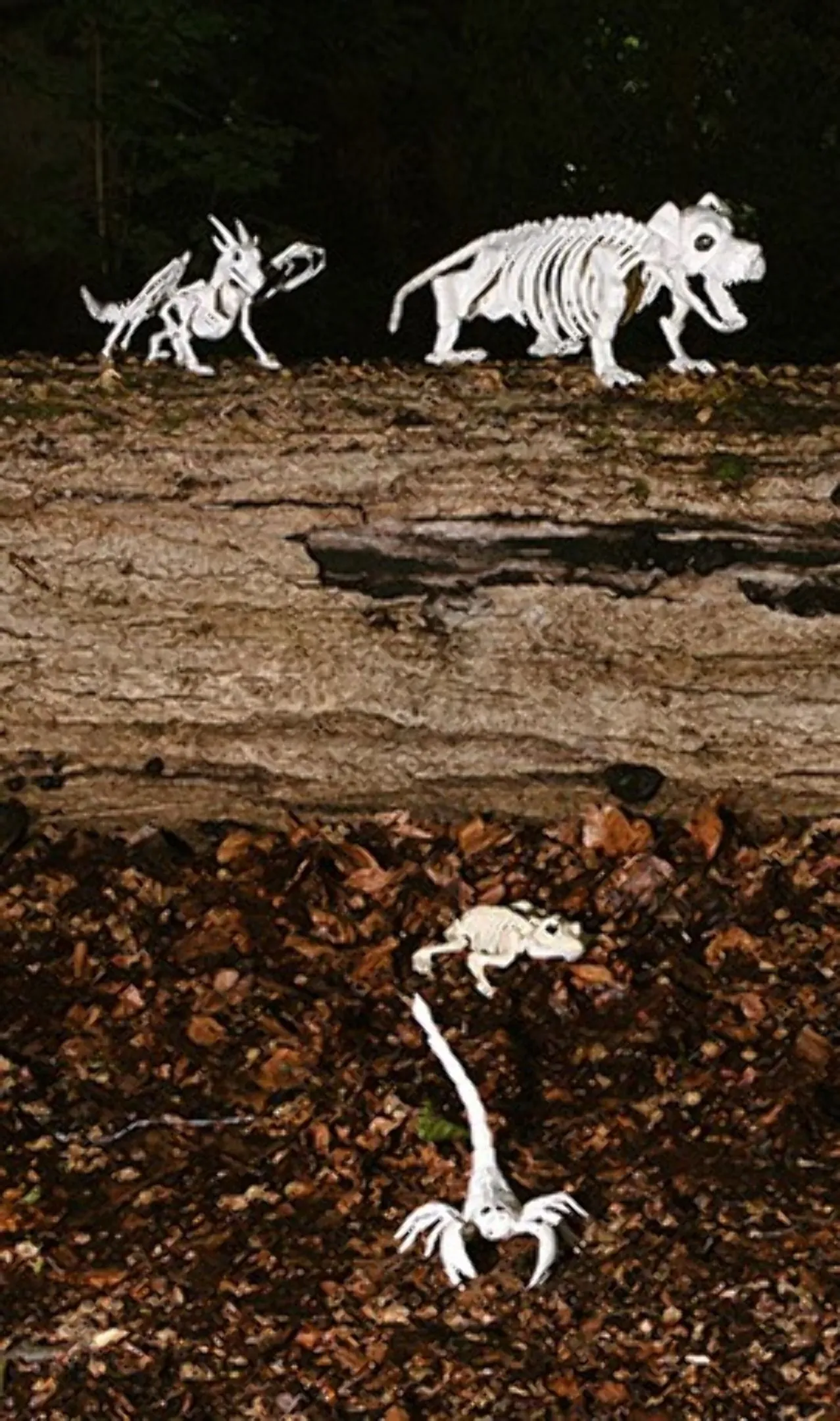 Don Disfraz Wachhund-Skelett 4 Don Disfraz Wachhund-Skelett - Image 2