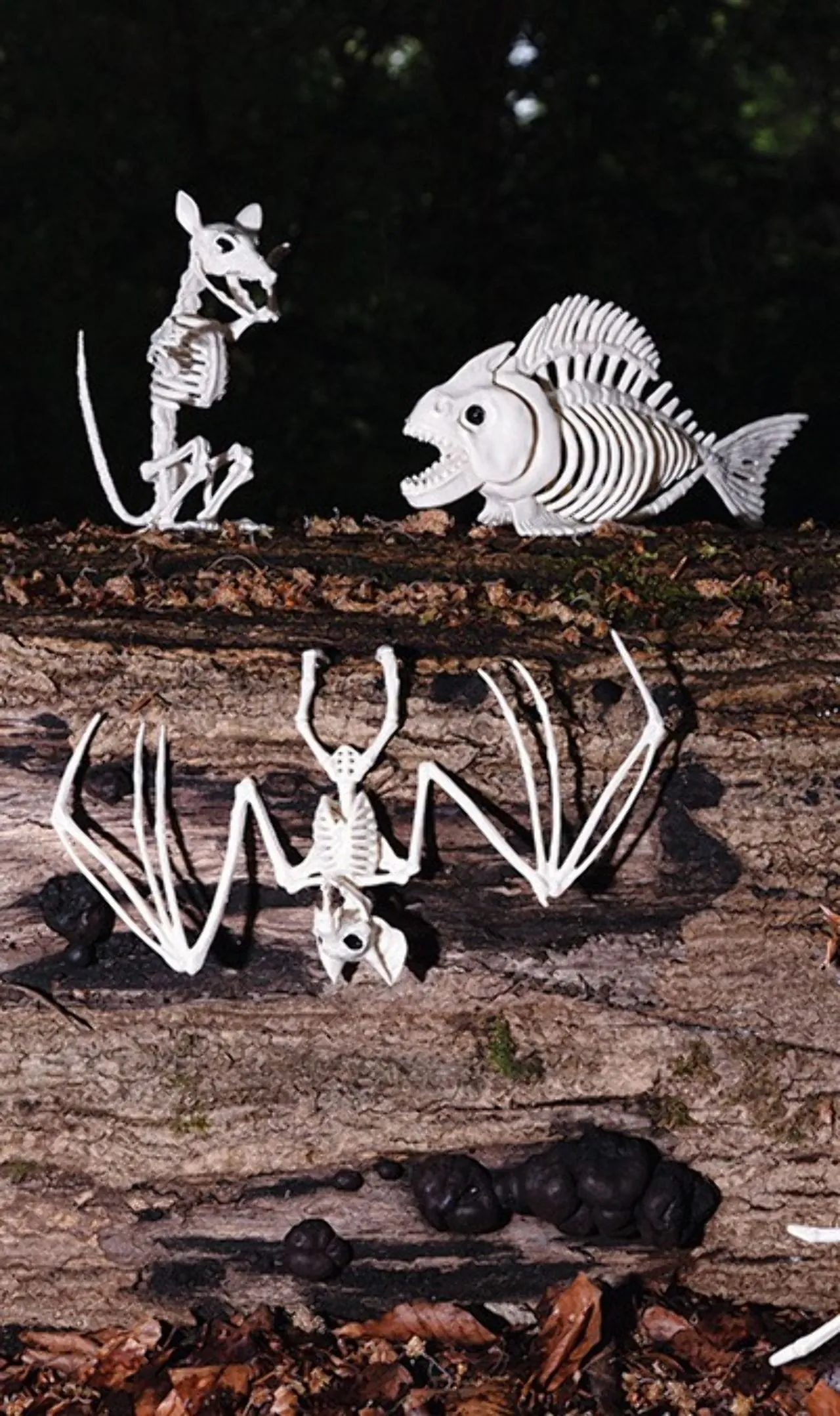 Don Disfraz Piranha-Skelett 4 Don Disfraz Piranha-Skelett - Image 2