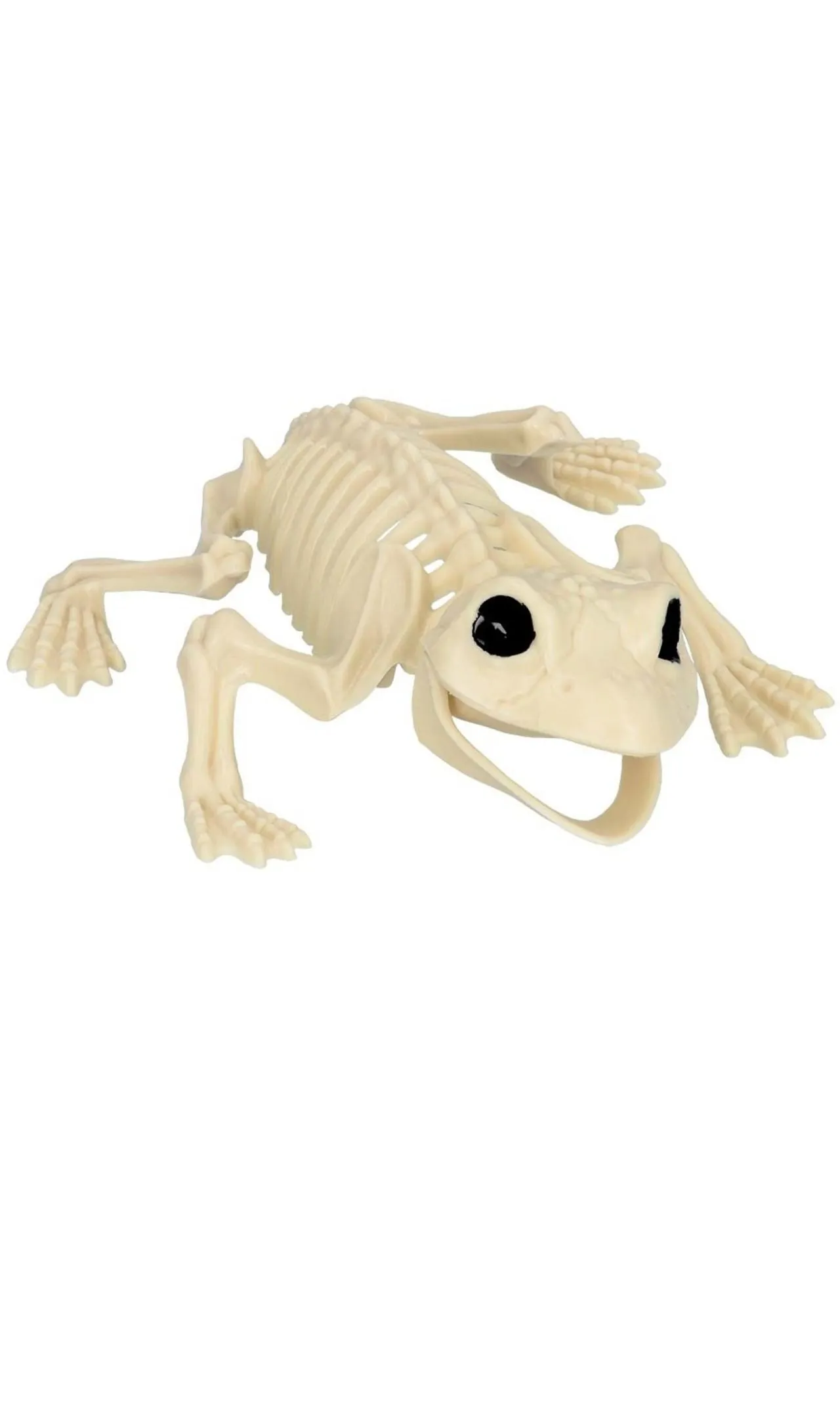 Don Disfraz Froschskelett 3 Don Disfraz Froschskelett