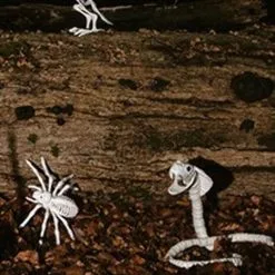 Don Disfraz Schlangenskelett -Weihnachtlich Verkaufsgeschäft esqueleto de serpiente