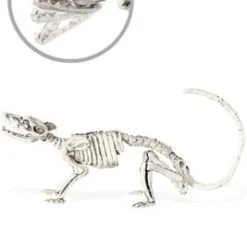 Don Disfraz Maus Skelett