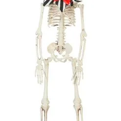 Don Disfraz Skelett-Clown Hängedeko