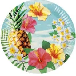 Don Disfraz Party-Teller Hawaii Paradise