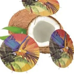 Don Disfraz Cocktailpicker Hawaii Beach